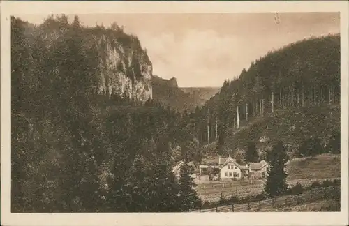 Ansichtskarte Tambach-Dietharz Falkenstein im Schmalwasser-Grund 1924