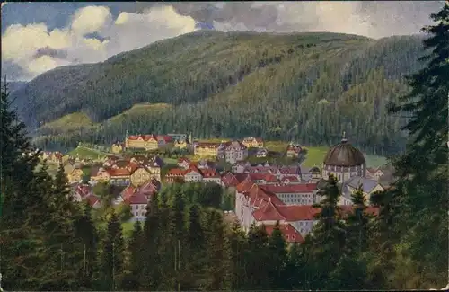 Ansichtskarte St. Blasien Panorama-Ansicht 1912