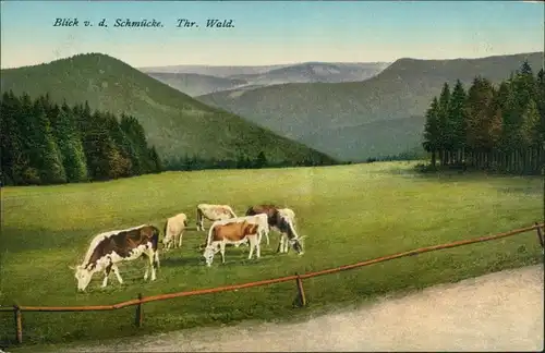 Ansichtskarte Gehlberg Blick von der Schmücke - Kuhweide 1914