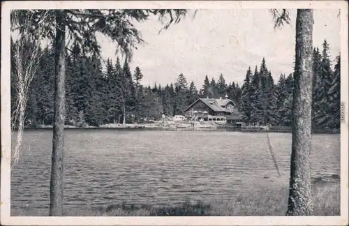 Ansichtskarte Bayerisch Eisenstein Arberseehaus am See 1930