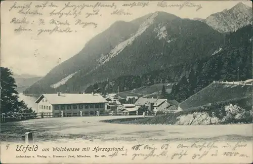 Ansichtskarte Urfeld-Kochel am See Herzogstandhäuser und Berge 1903