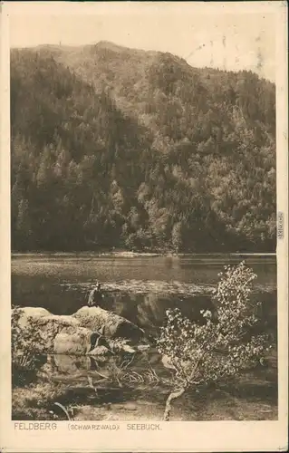 Ansichtskarte Feldberg Seebuck (Berg) 1912