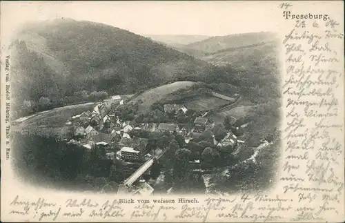 Ansichtskarte Treseburg Blick auf den Ort 1904