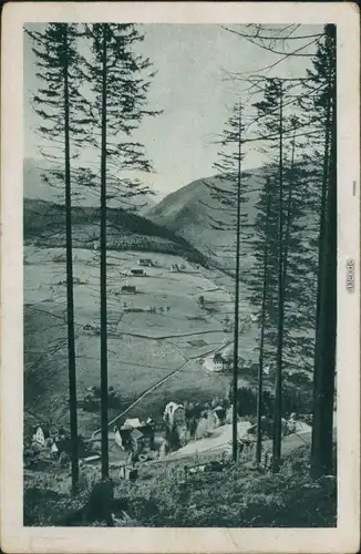 Ansichtskarte Petzer Pec pod Sněžkou Blick auf die Stadt 1930 