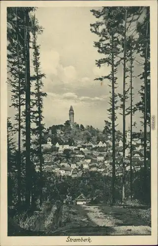 Stramberg (Strahlenberg) Štramberk Blick vom Wald auf die Stadt 1928 