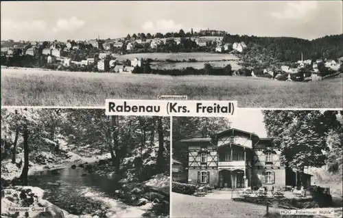 Ansichtskarte Rabenau Panorama, Rabenauer Grund, HOG Rabenauer Mühle 1964