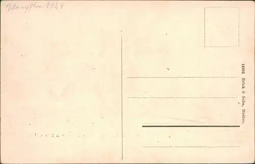 Ansichtskarte Moritzburg Fütterung der Wildschweine 1916 