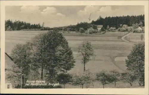 Ansichtskarte Hartenstein (Sachsen) Straße - Dürre Henne 1955