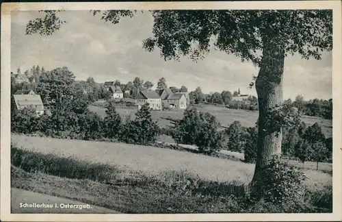 Ansichtskarte Schellerhau-Altenberg (Erzgebirge) Blick auf die Stadt 1955 