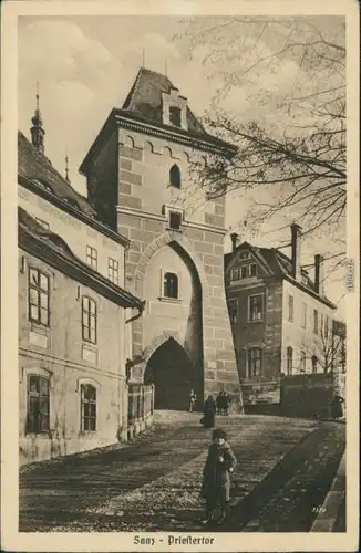 Ansichtskarte Saaz (Eger) Žatec Priestertor 1930