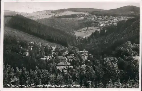 Kipsdorf-Altenberg (Erzgebirge)  Panorama v.  Bärenfels, Schellerhau 1940