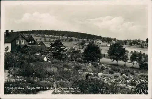 Schellerhau-Altenberg (Erzgebirge) Blick über den Ort, Botanischer Garten 1937