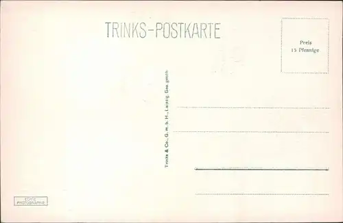 Ansichtskarte Greiz Blick auf die Stadt 1927