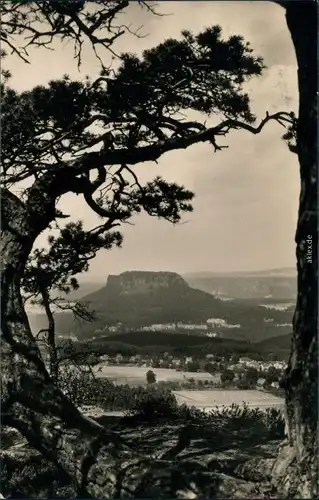 Gohrisch (Sächs. Schweiz) Blick auf den Ort mit Lilienstein 1958