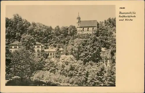 Ansichtskarte Tharandt Forsthochschule und Kirche 1954