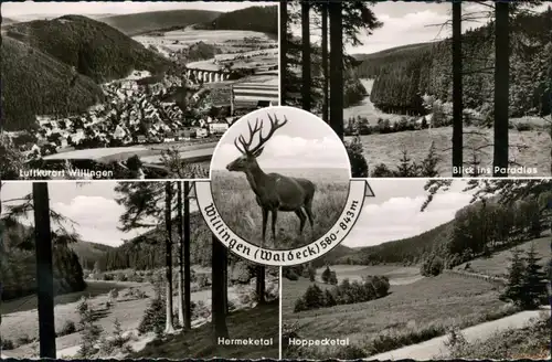 Ansichtskarte Willingen (Upland) Totalansicht, Hermeketal, Hoppecktal 1961