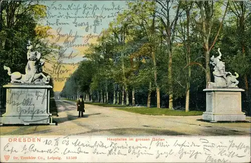 Seevorstadt-Ost/Großer Garten-Dresden Hauptallee im Großen Garten 1903
