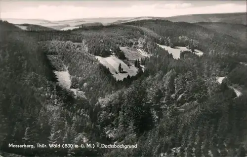 Ansichtskarte Masserberg Dachsbachgrund 1964