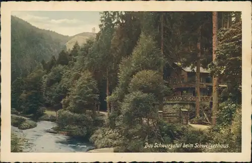 Ansichtskarte Schwarzburg Partie beim Schweizerhaus-Schwarzatal 1929