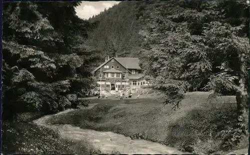 Ansichtskarte Tabarz/Thüringer Wald Massemühle g1959