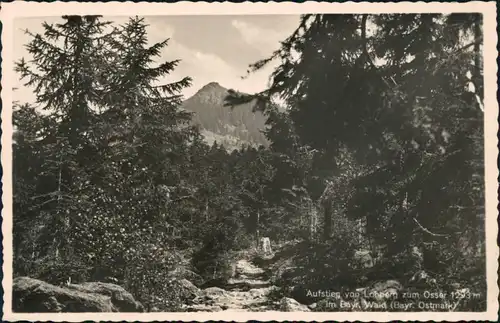 Ansichtskarte Lohberg Aufstieg von Lohberg zum Ossar im bayr. Wald 1938