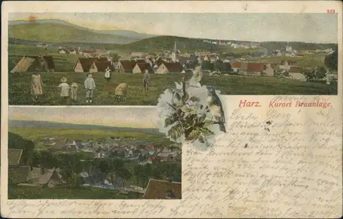 Ansichtskarte Braunlage 2 Bild: Stadtpartien - Vögel 1904 