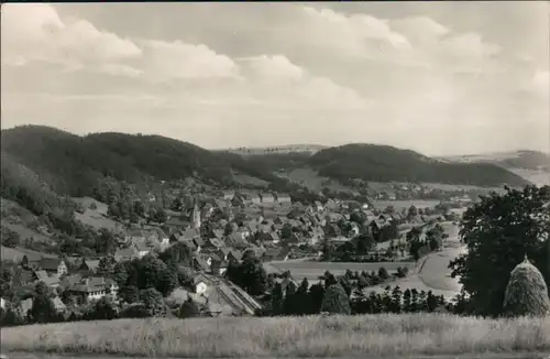 Ansichtskarte Geising-Altenberg (Erzgebirge) Blick auf den Ort 1966