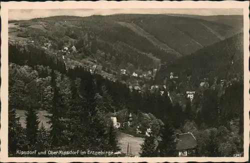 Ansichtskarte Kipsdorf-Altenberg (Erzgebirge) Blick auf den Ort 1939