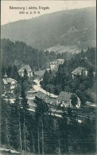 Ansichtskarte Bärenburg-Altenberg (Erzgebirge) Blick auf den Ort 1925