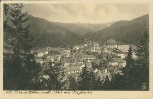 Ansichtskarte St. Blasien Blick auf den Ort 1928