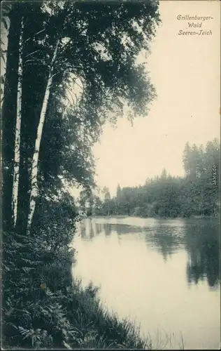 Ansichtskarte Grillenburg-Tharandt Grillenburger Wald Seeren-Teich SW 1916 