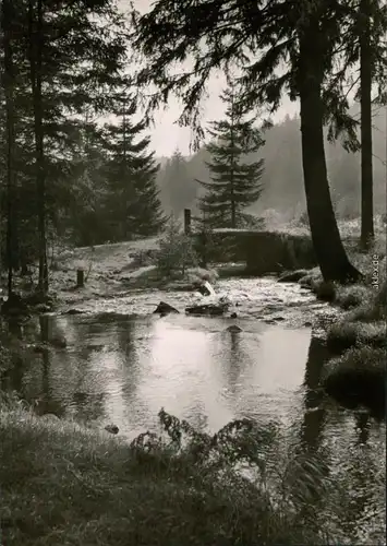 Ansichtskarte Ehrenfriedersdorf Greifensteine - Adlerstollenbrücke 1964