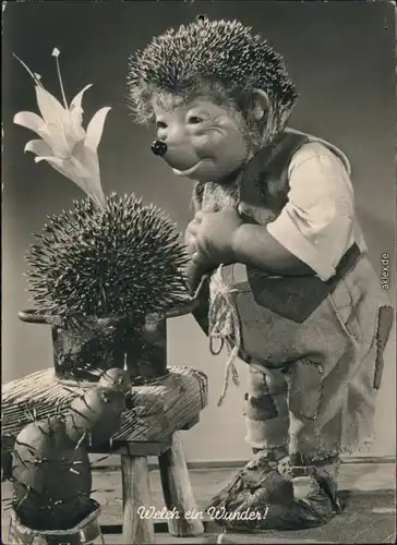 Ansichtskarte  Mecki (Diehl-Film) - Mecki und Kaktus 1955