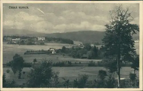 Böhmisch Kubitzen (Česká Kubice) Panorama über Wiesen und Hecken 1926