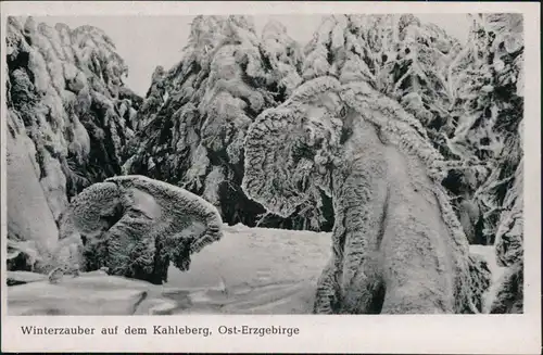 Ansichtskarte _Sachsen Winterzauber auf dem Kahleberg 1960