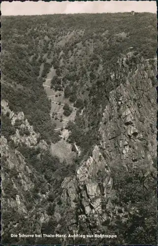 Ansichtskarte Thale (Harz) Die Schurre - Aufstieg zur Roßtrappe 1962