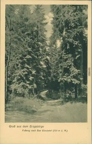 Ansichtskarte Einsiedel-Seiffen (Erzgebirge) Fußweg nach... Erzgebirge 1926 