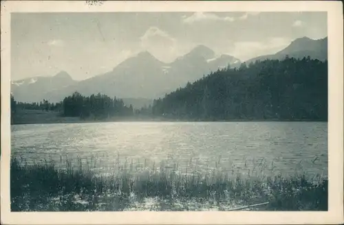 Ansichtskarte Celerina Schlarigna Blick auf den Statzersee 1924 