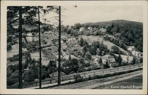 Ansichtskarte Kipsdorf-Altenberg (Erzgebirge) Teilansicht 1959