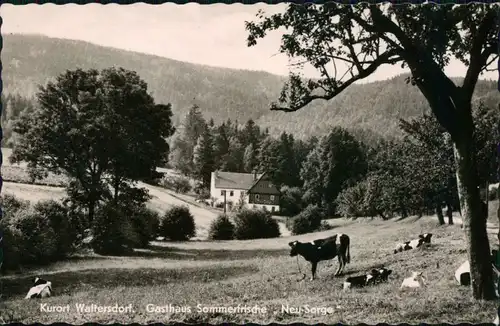 Waltersdorf-Großschönau (Sachsen) Gasthaus Sommerfrische "Neu-Sorge" 1962