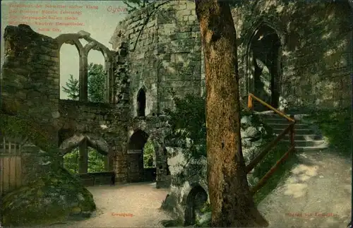 Ansichtskarte Oybin Partie in der Kirchenruine 1907 