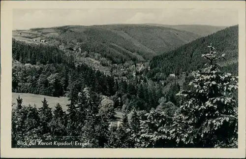 Ansichtskarte Kipsdorf-Altenberg (Erzgebirge) Blick auf die Stadt 1956 