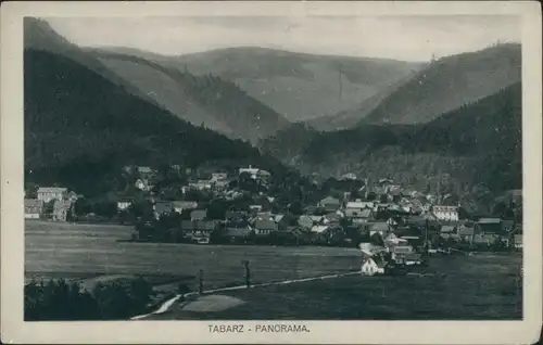 Ansichtskarte Tabarz/Thüringer Wald Partie an der Stadt 1922 