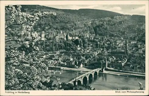 Ansichtskarte Heidelberg Panorama-Ansicht - Frühling vom Philosophenweg 1959
