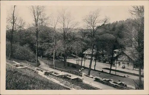 Ansichtskarte Bad Suderode Kurpark 1955