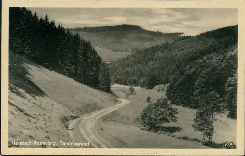 Ansichtskarte Neustadt am Rennsteig Panorama-Ansicht - Wald- und Feldweg 1955