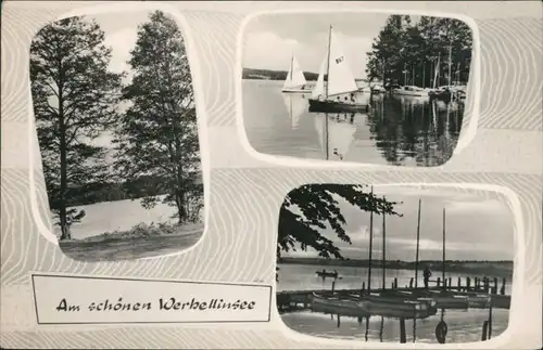 Ansichtskarte Schorfheide Werbellinsee, Segelboote, Bootsanlegestelle 1964