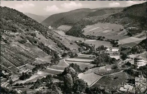 Ansichtskarte Lorch Panorama-Ansicht - Blick ins Tal 1955