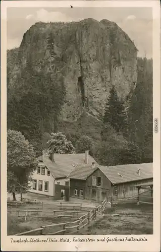 Ansichtskarte Tambach-Dietharz Falkenstein und Gasthaus Falkenstein 1957