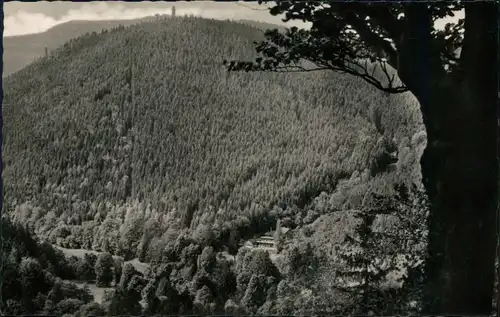 Ansichtskarte Tabarz/Thüringer Wald Lauchagrund 1959